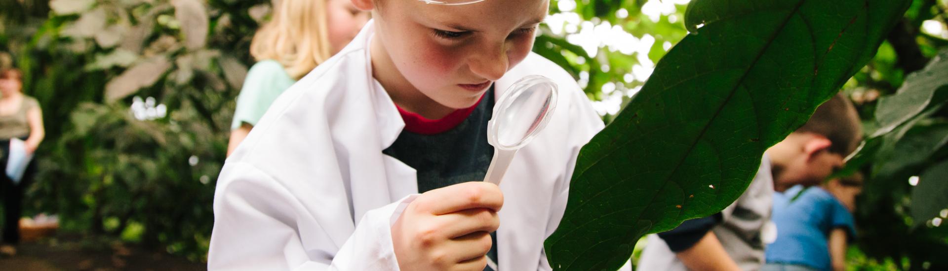 Young boy with safety goggles on looking through a magnifying glass at a leaf 