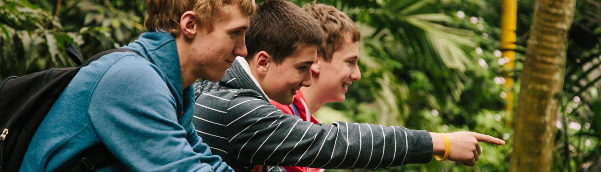 A group of three pupils standing and leaning on a fence and pointing across to the greenery