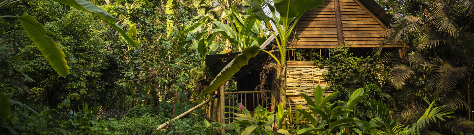 Malaysian House in Rainforest Biome at Eden Project