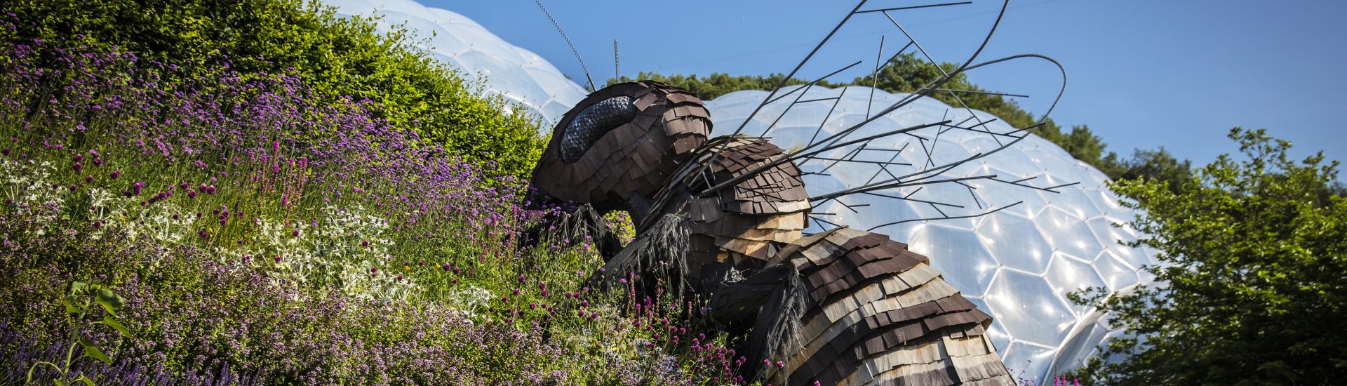 A giant bee sculpture installed on the side of a green bank with the Eden biome's in view in the distance 