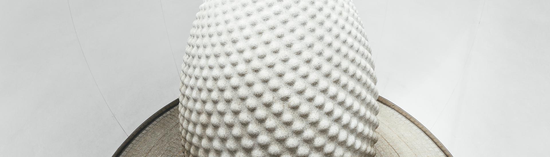 A view of the seed sculpture from above looking down. The seed is a round egg shape with raised dots on the surface
