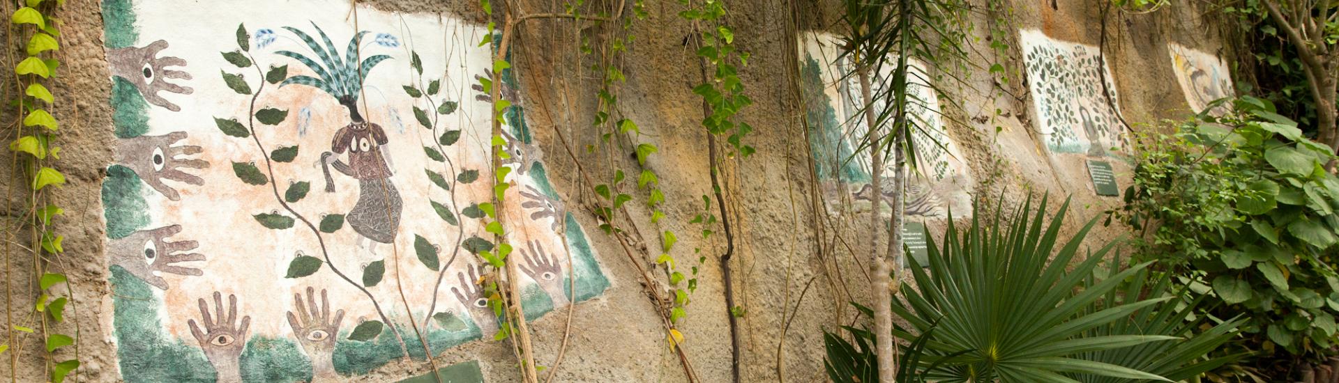 A view of the wall of vegetalistas paintings set in the rainforest biome