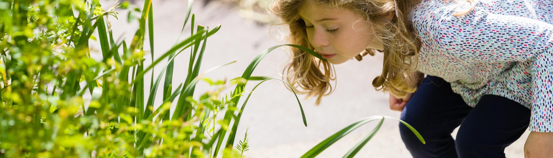 A young girl leaning down to touch the leaves 