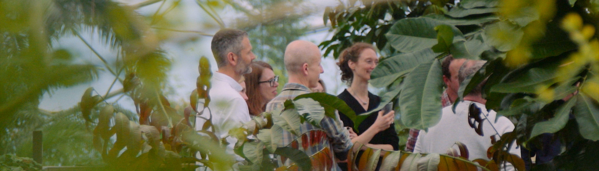 Leadership course participants in the Rainforest Biome surrounded by leaves