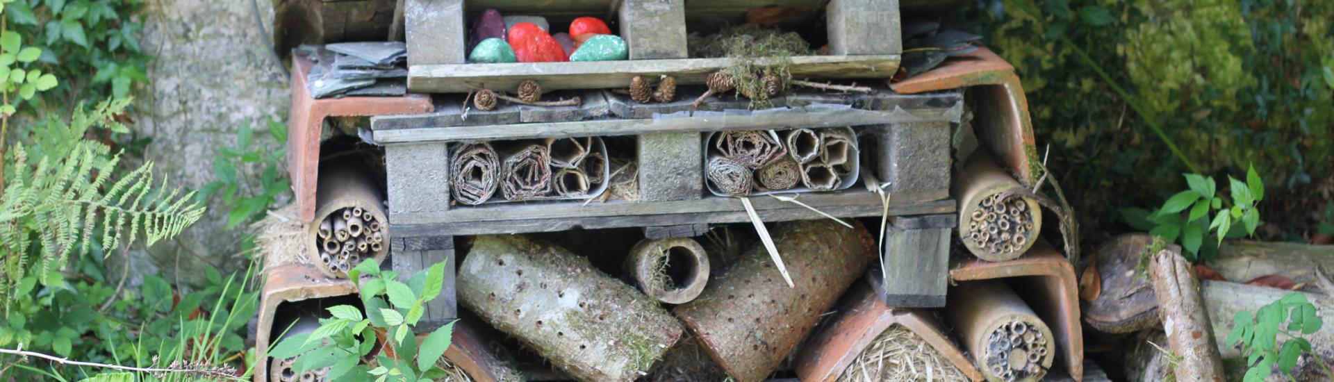  A close up of a bug hotel