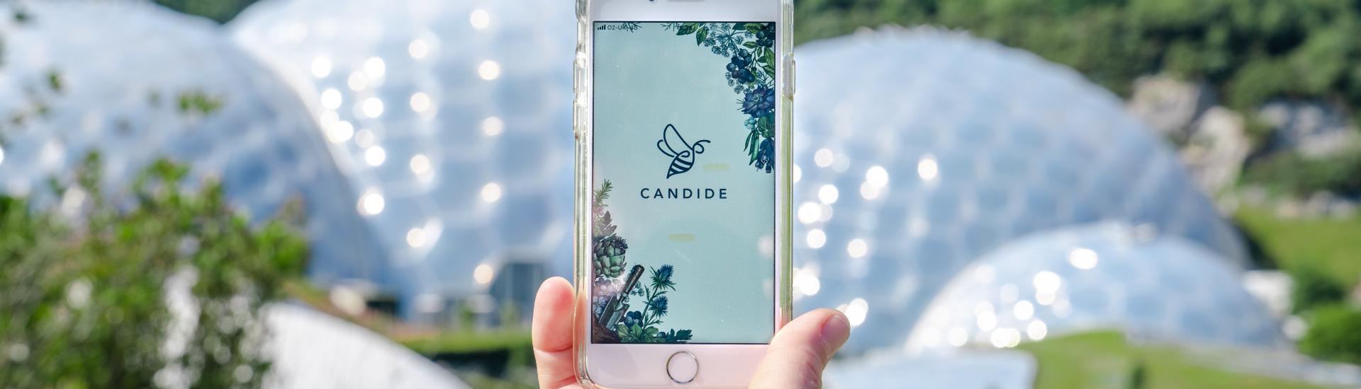 A view of a mobile with the Candide app open and in the background is the Eden Project biomes