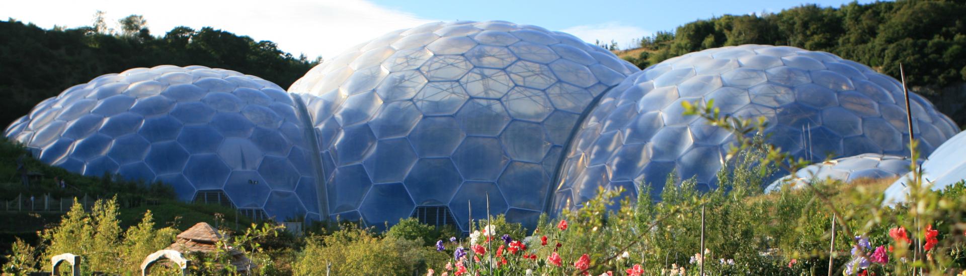 A young child walking through the outdoor gardens with the biomes straight ahead