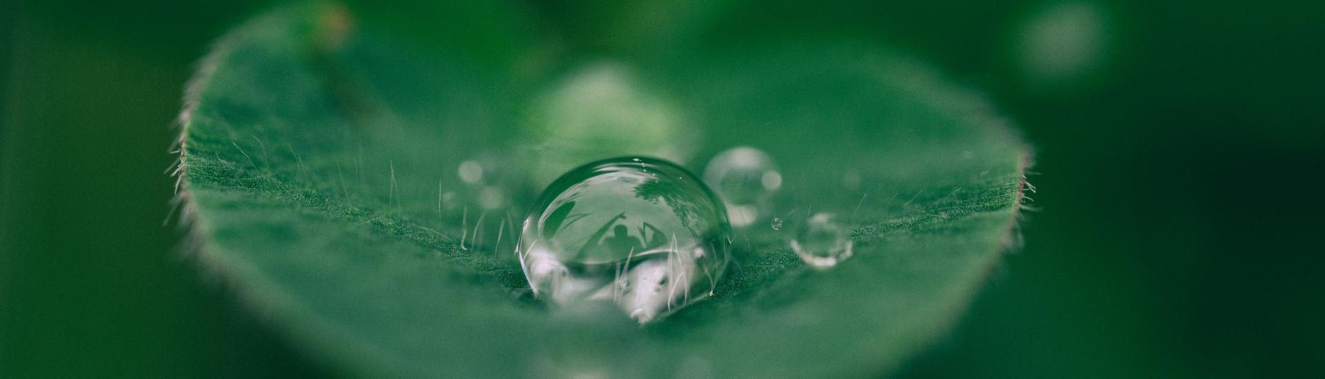 A close up of a drop of water sitting on a green leaf