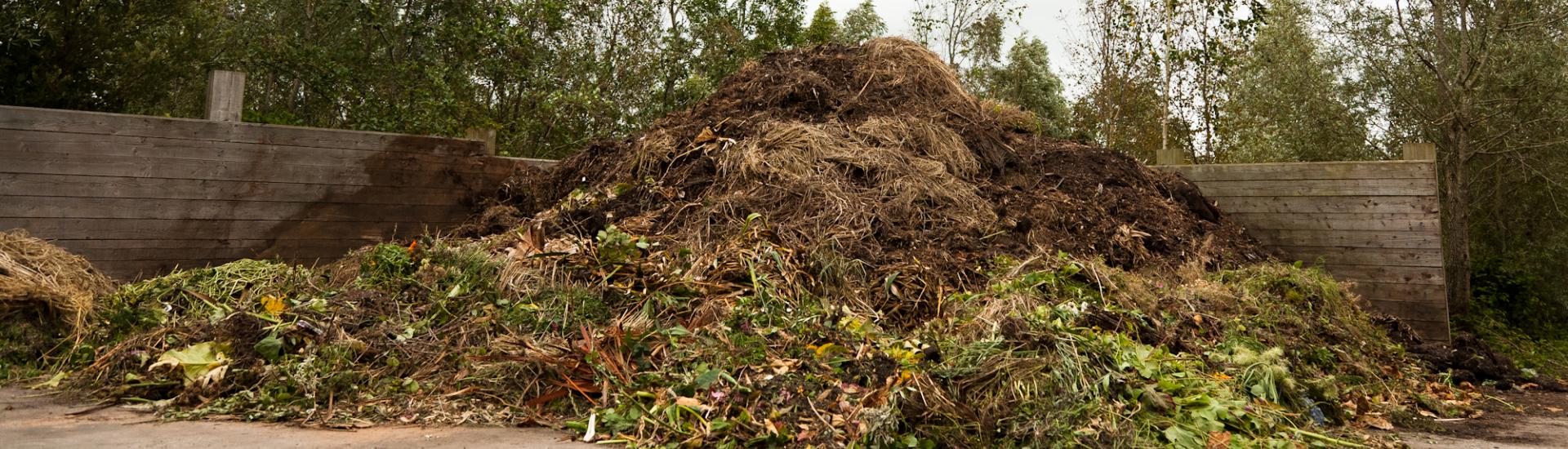 How To Create A Great Compost Pile From Fall Decorations!