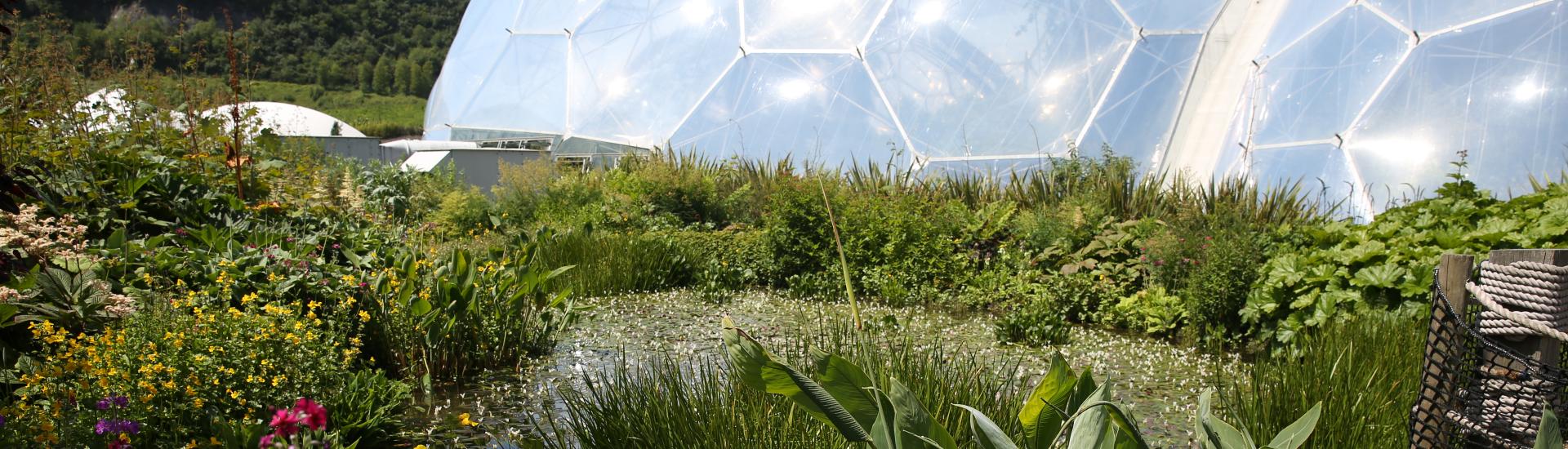 A view of the outdoor gardens at Eden with the biomes in the background