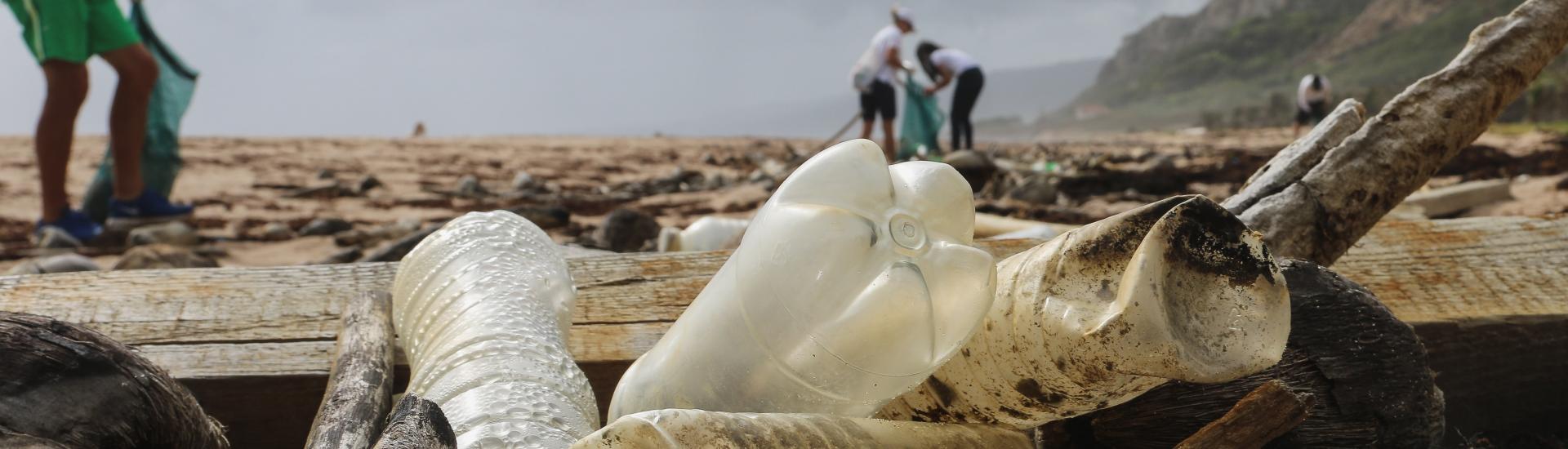 A view of the plastic bottles on the beach and people walking in the background on a beach clean
