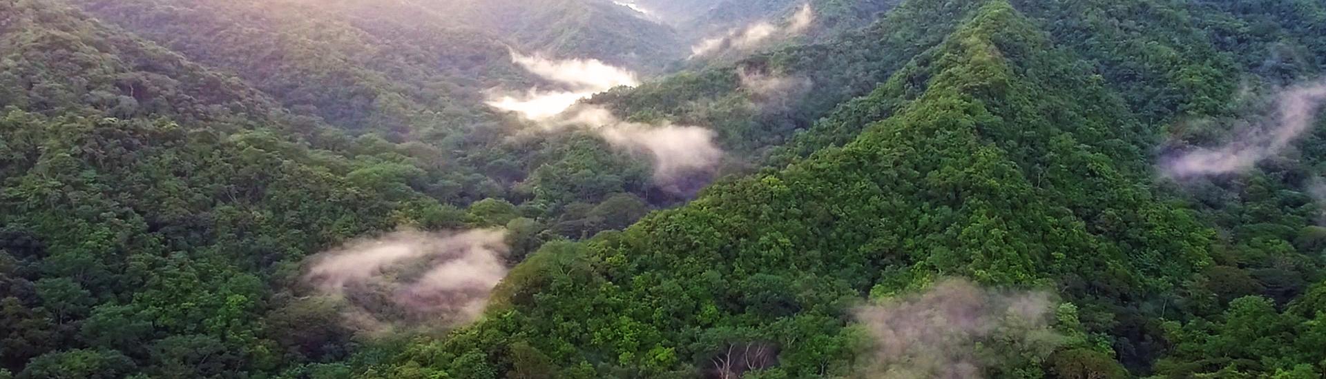 Aerial shot of Costa Rica site