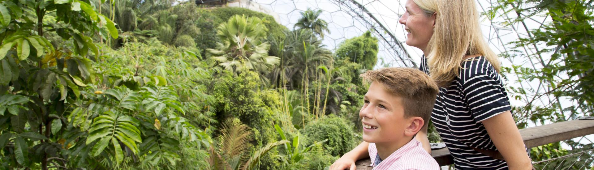 Mother and son looking across the canopy in the Rainforest Biome