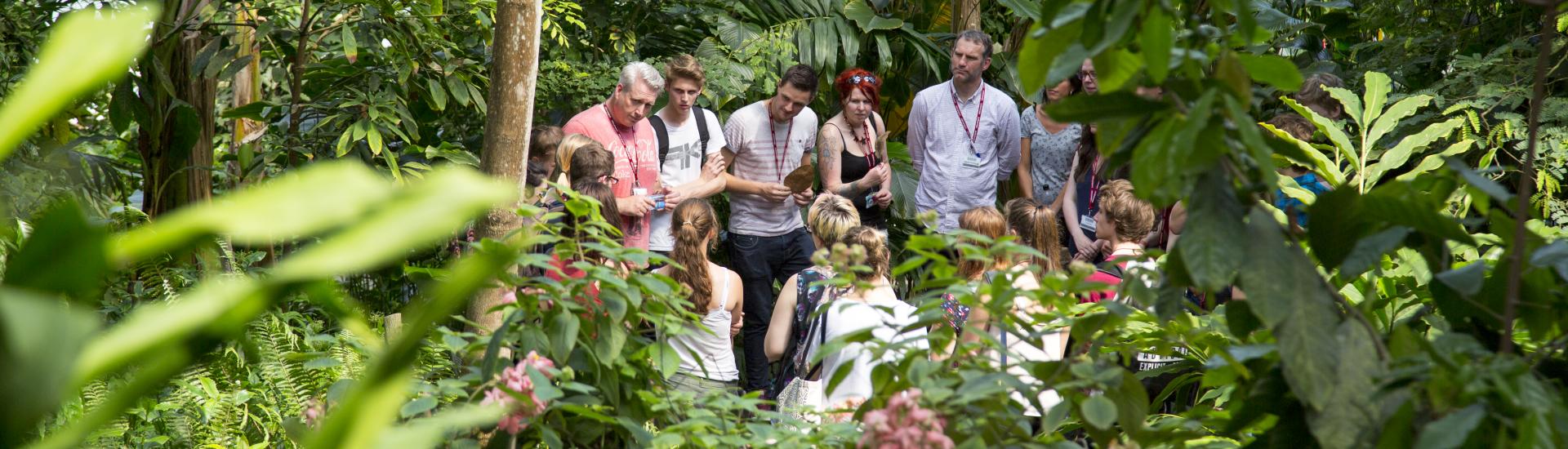 A school trip standing in a group talking in the middle of the Eden rainforest biome
