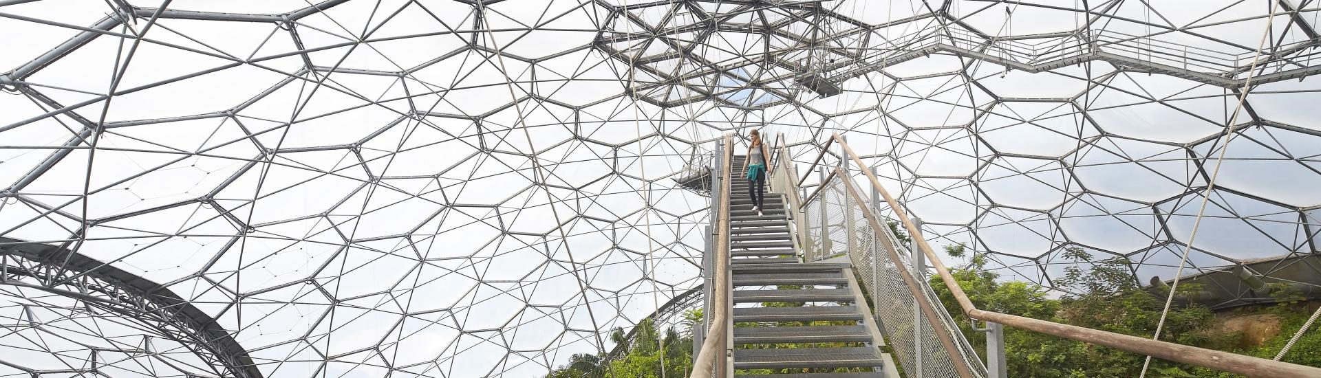 Woman walking down steps from the Lookout in Rainforest Biome