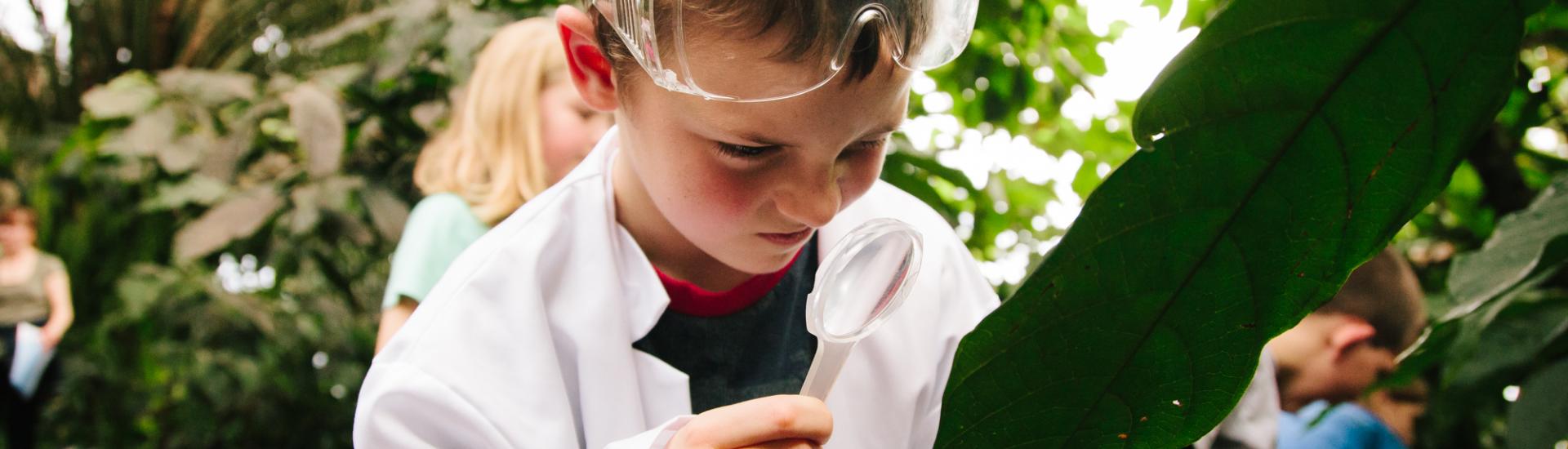 A young boy looking with safety goggles on his head at a leaf with a magnifying glass