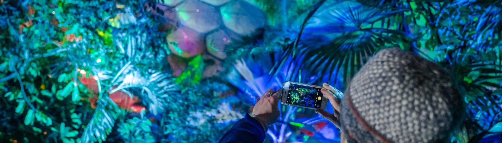 Person taking photo in Rainforest Biome at Christmas