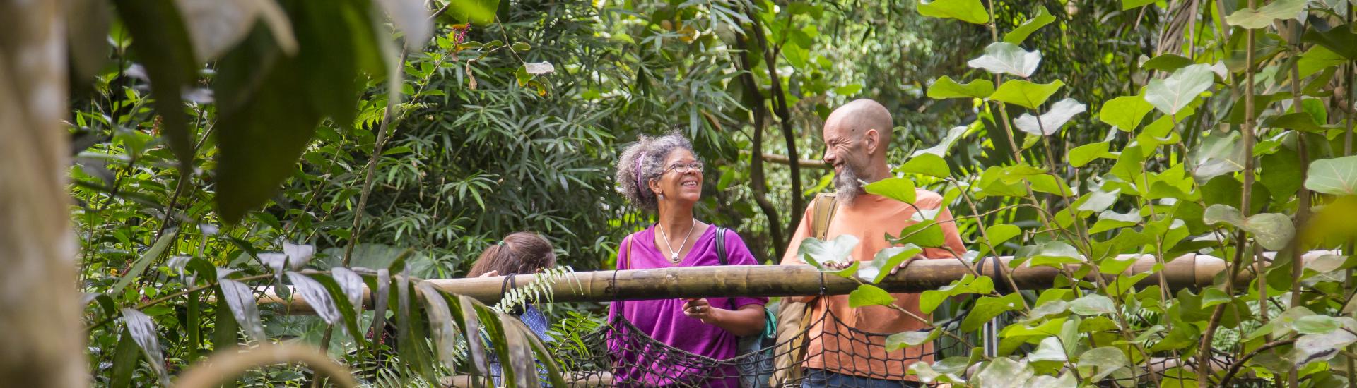 Family standing on the bridge in the Rainforest Biome