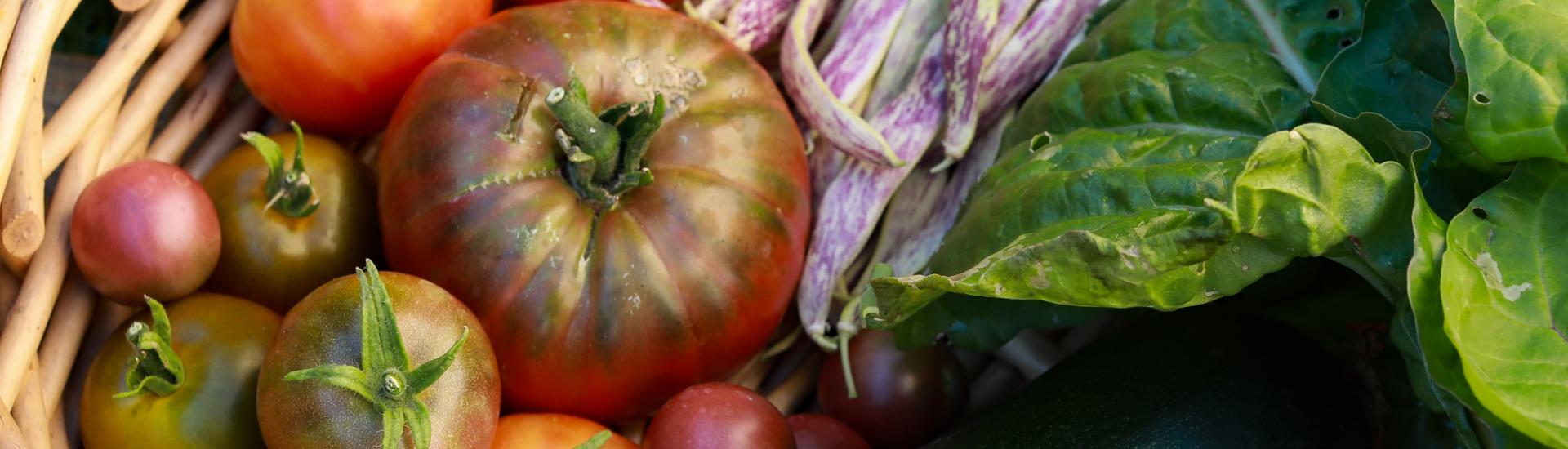 Vegetables in a basket