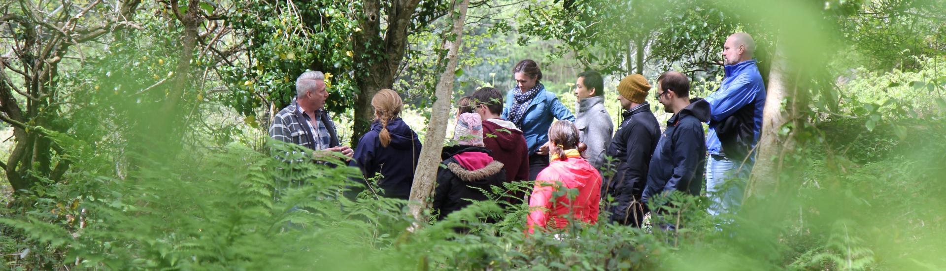 View of group of people through the trees in woodland