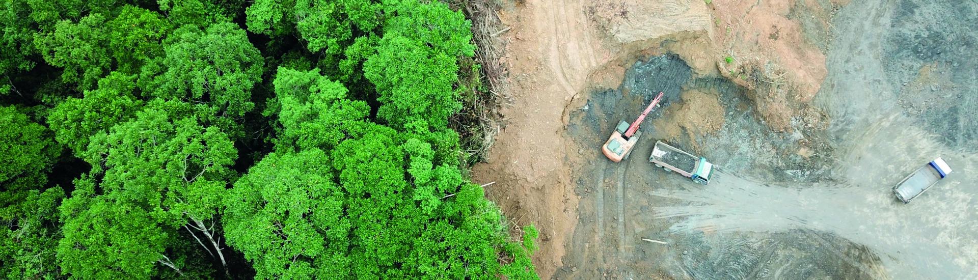 Bird's eye view showing rainforest on left and barren soil on right