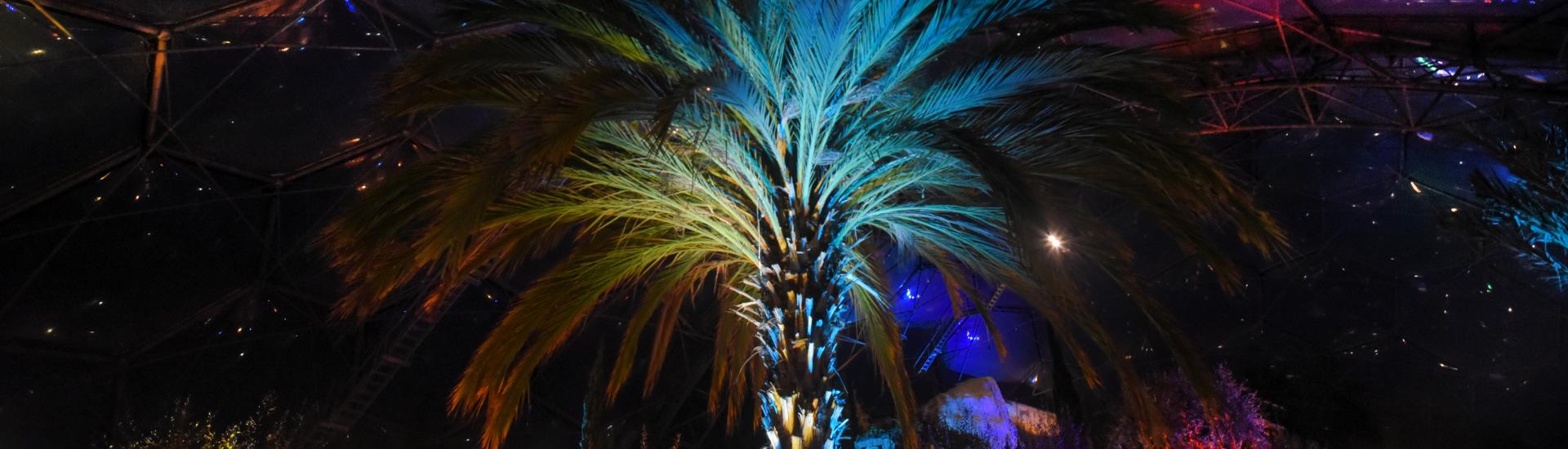 Mediterranean Biome at night