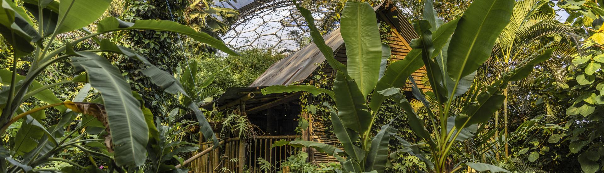 Malaysian house in the Eden Project Rainforest Biome