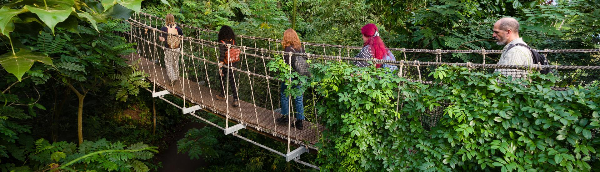 People walking across a wobbly bridge in the Eden Project Rainforest Biome