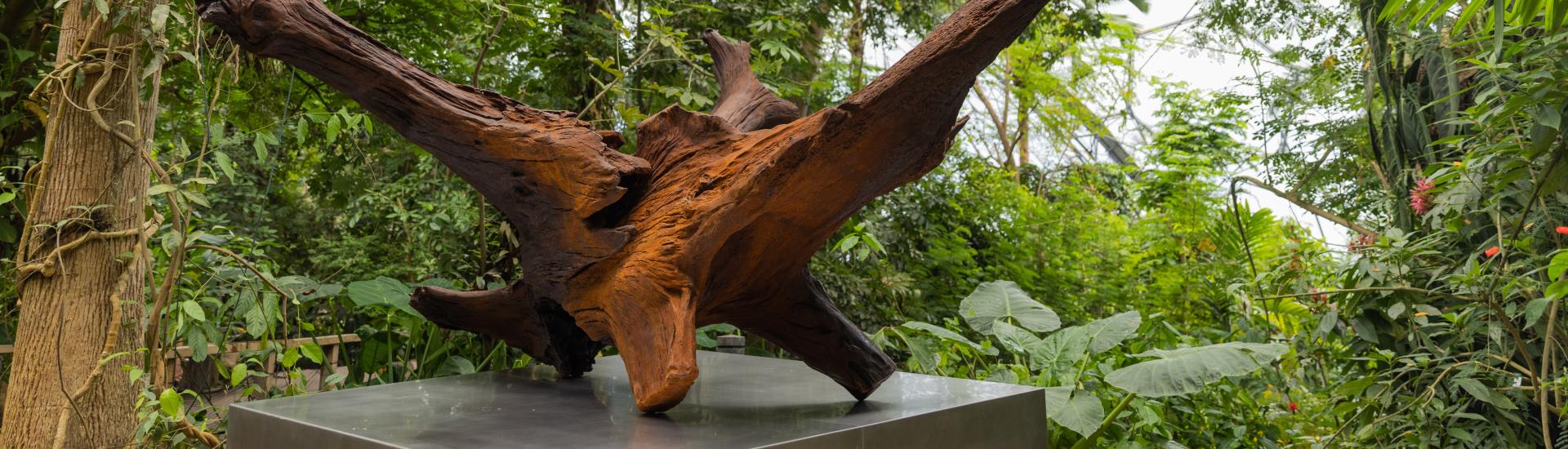 Giant rusting cast iron sculpture of a root in the Rainforest Biome at the Eden Project
