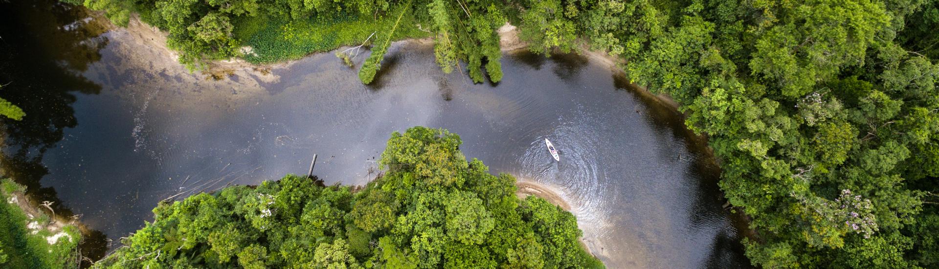 Aerial view Brazilian Amazon Rainforest and River