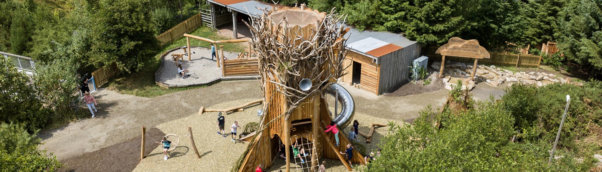 Aerial view of a giant 'Tree of Life' climbing tower for children
