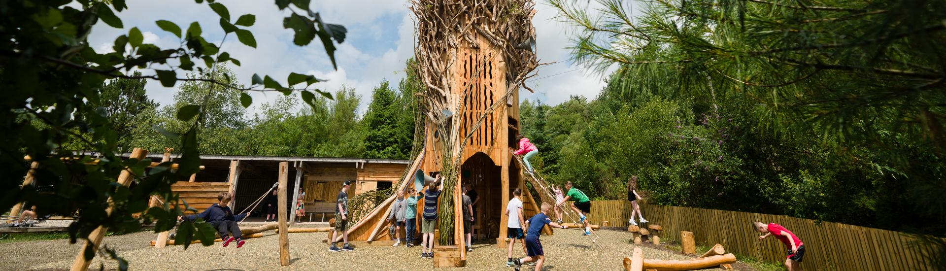 Play area with giant tree climbing tower