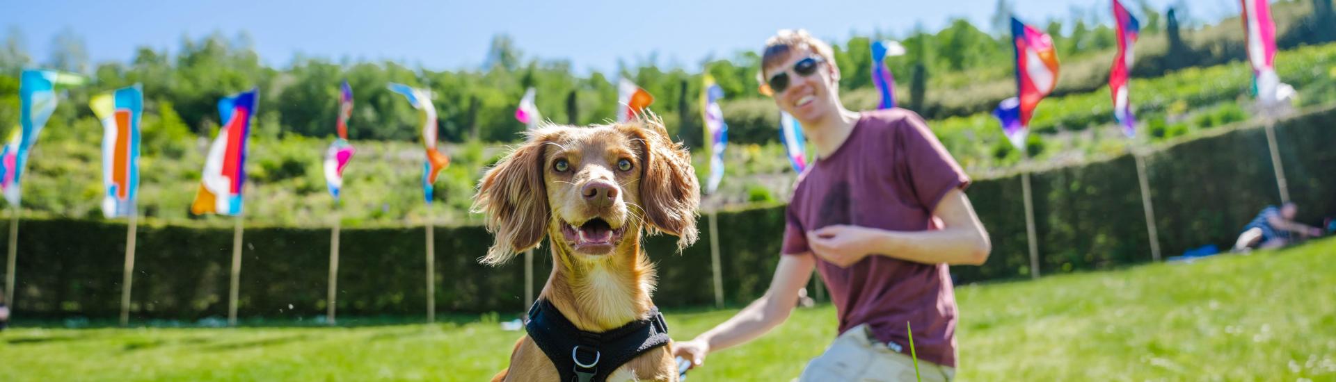 Dog and owner at Eden Project