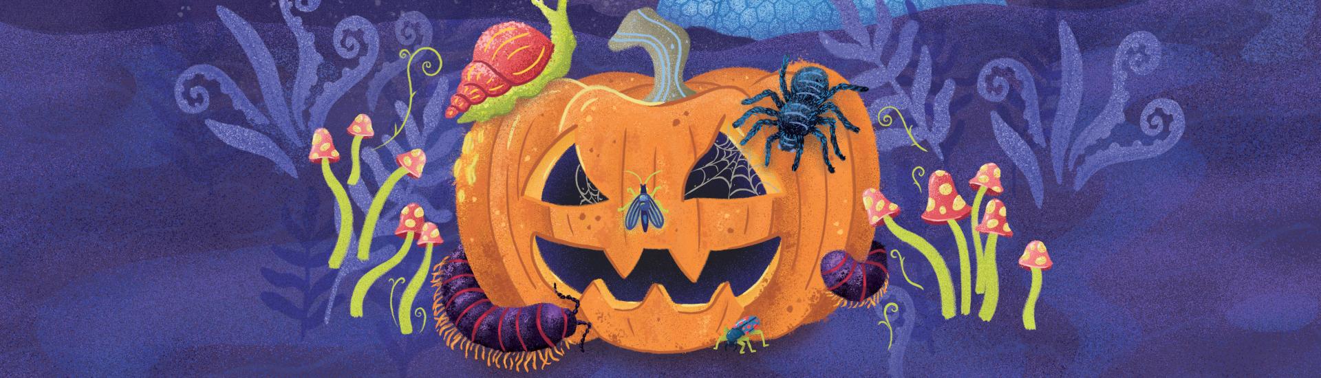 Illustrated pumpkin in the moonlight covered in bugs with Eden's Biomes in the background