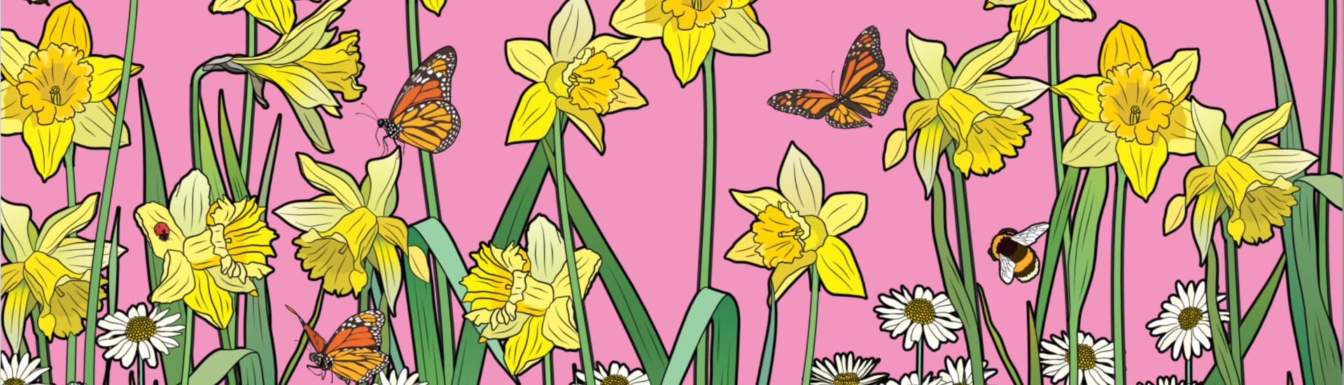 Illustration of daffodils and ox eye daisies