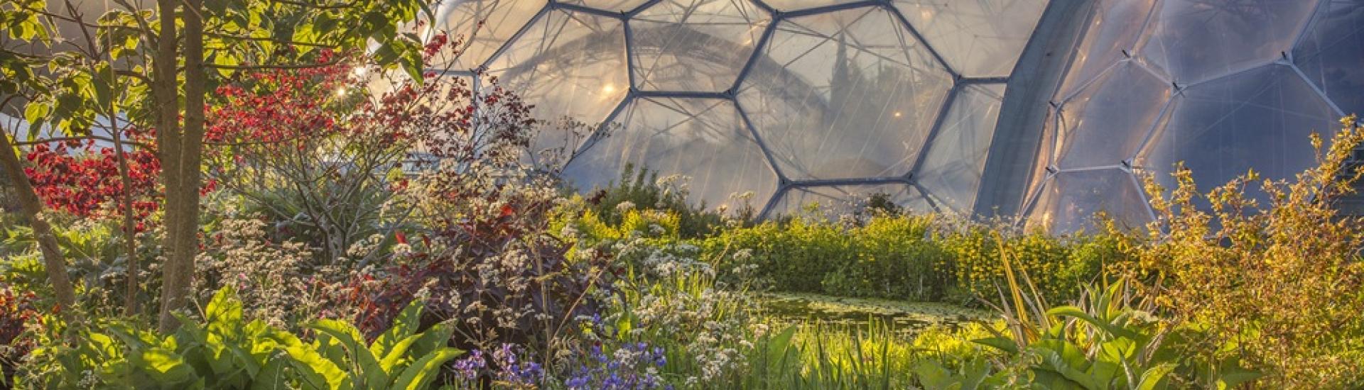 Eden Project Biomes shot by Clive Nichols