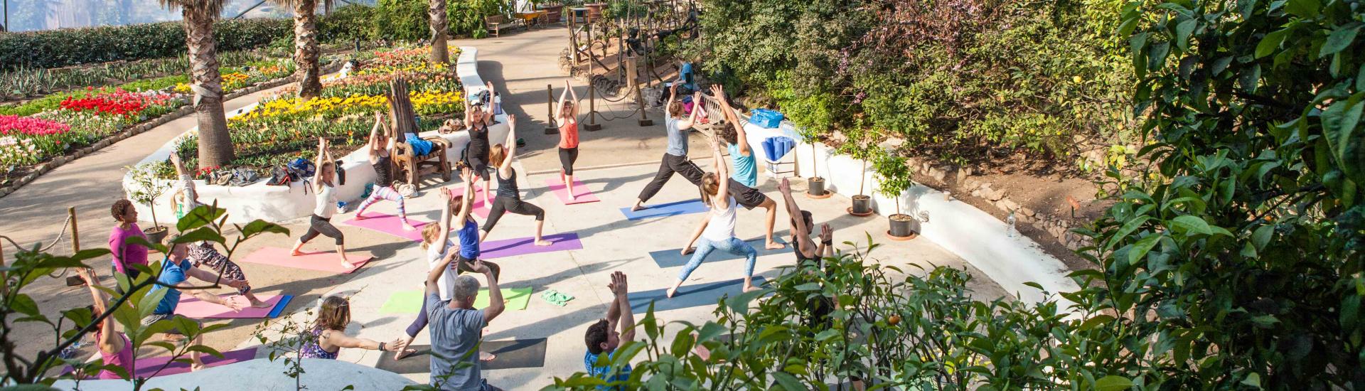 Yoga class in the Mediterranean Biome at the Eden Project