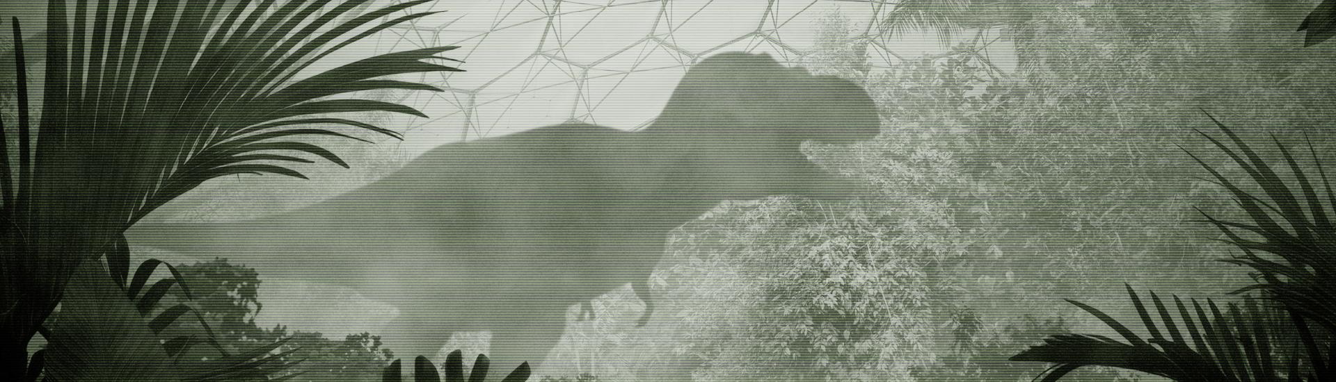 Shadow of a dinosaur in the Eden Project Rainforest Biome