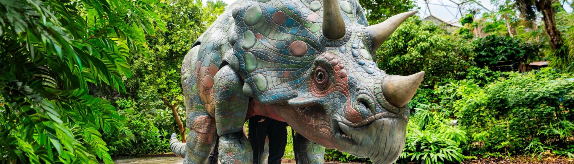 Brutus the Tricerotops stands in the Rainforest Biome