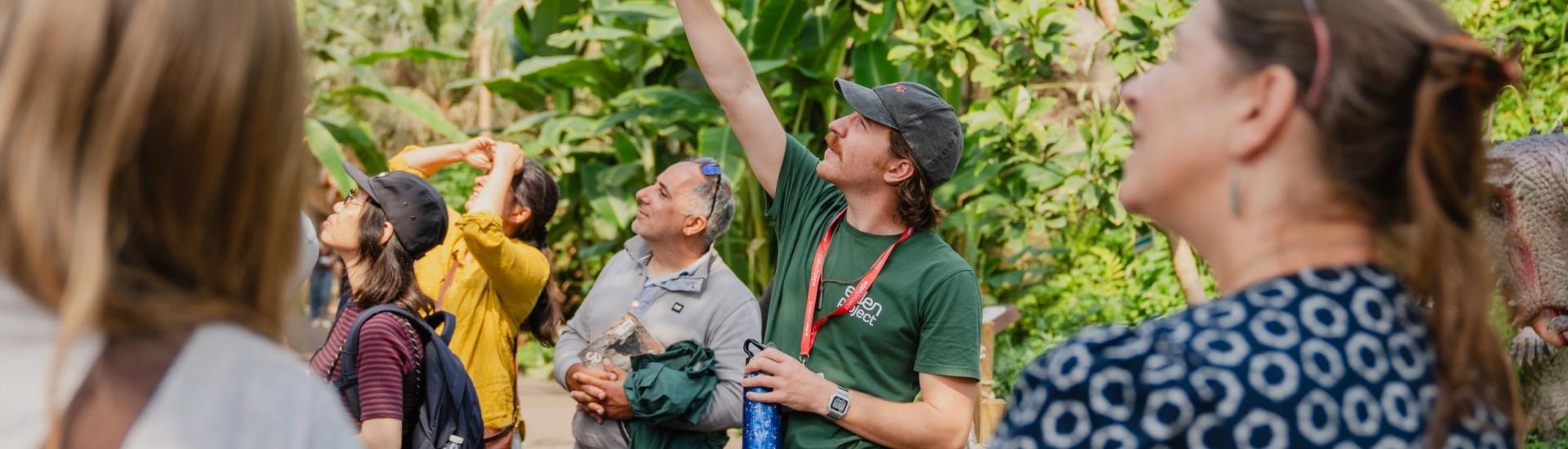 Eden Project talemaker points up at something out of sight in the Rainforest Biome, with his tour group watching on