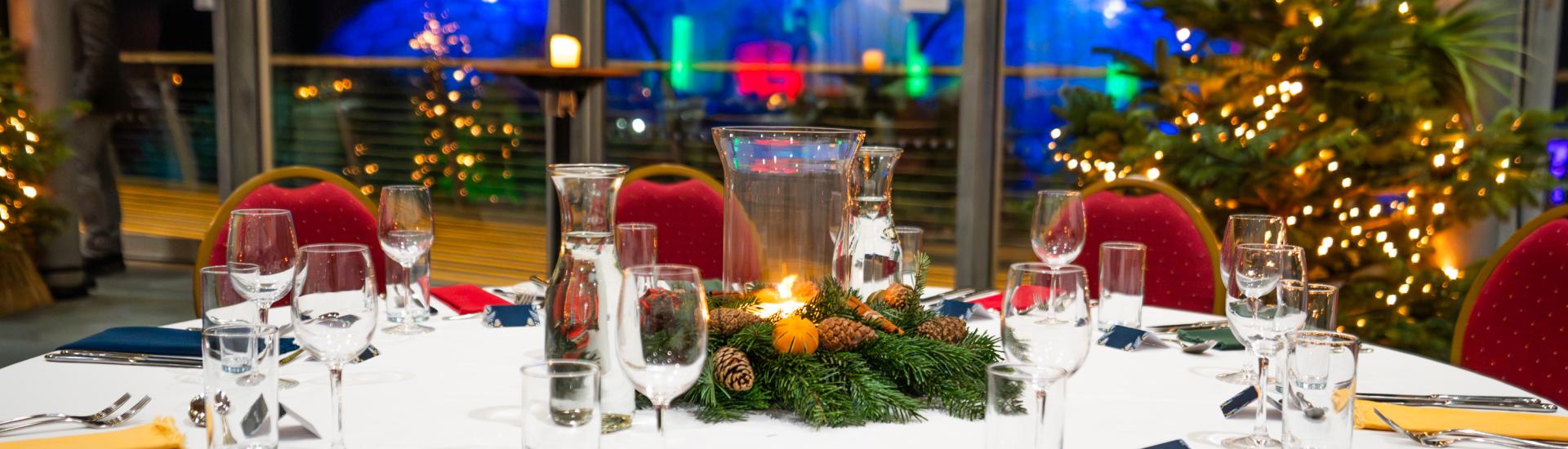 Christmas party at the Eden Project