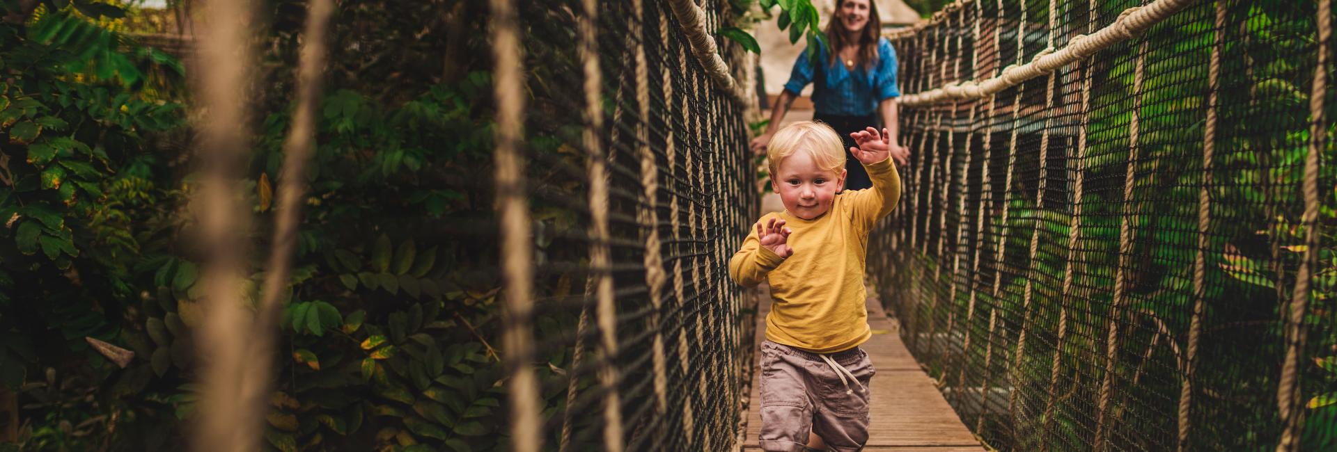 Mother and son on wobbly bridge in Rainforest Biome