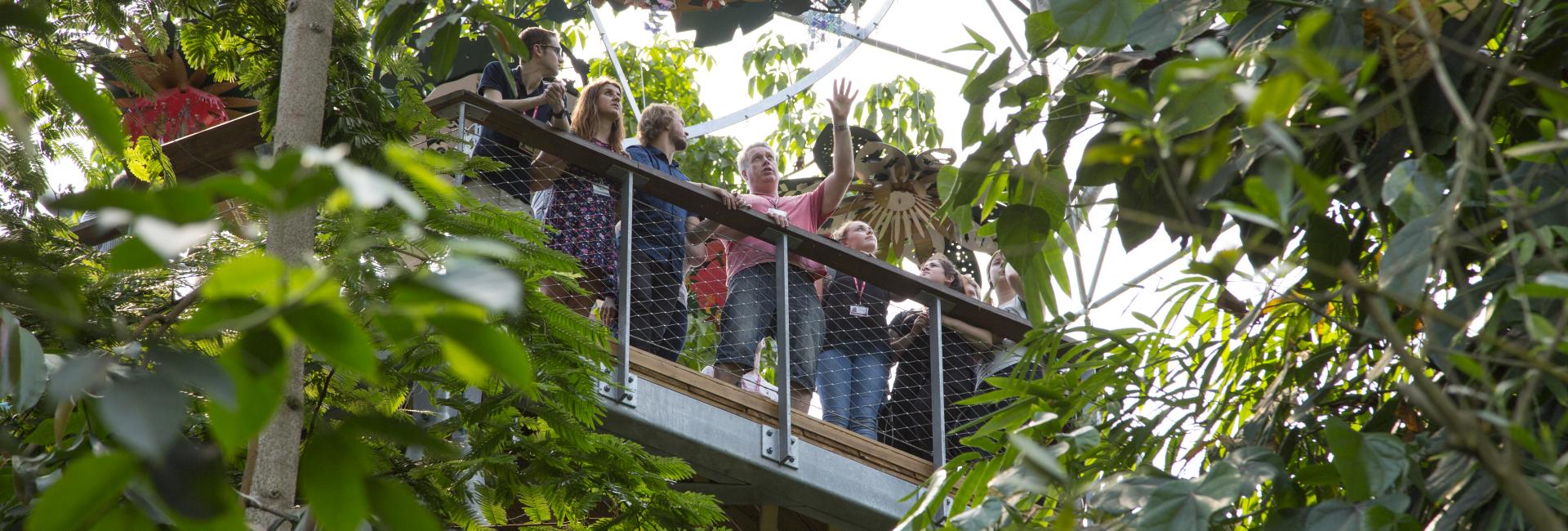 Students on Rainforest Walkway being shown the Biome by their tutor