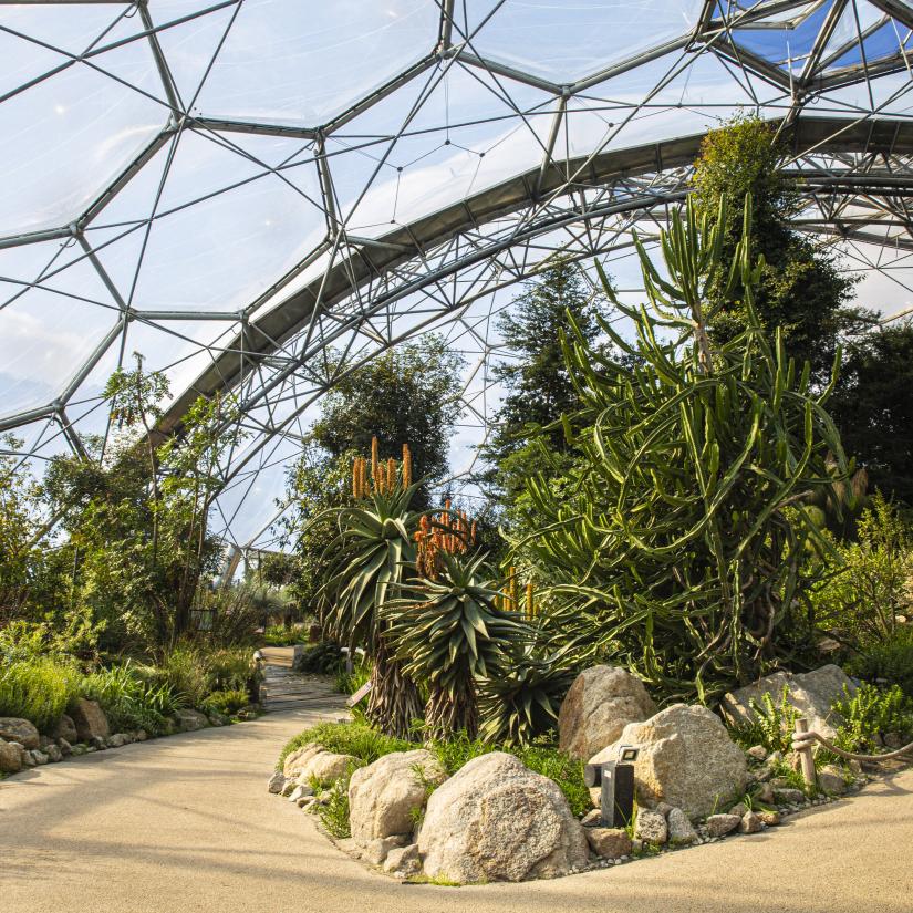 Plants and nature at Eden | Eden Project