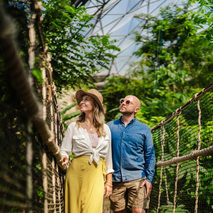 Eden Project Charity Gifts | Eden Project