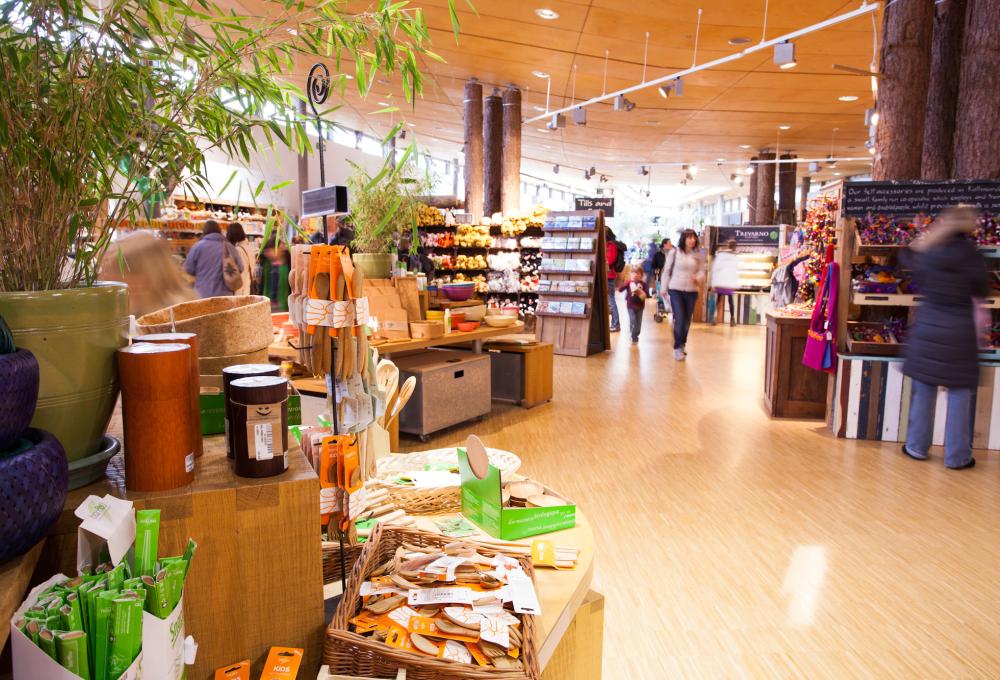 Go green this Black Friday with discounts on a magical experience ...
